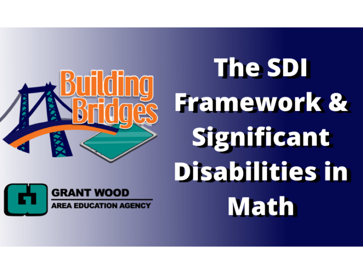 The SDI Framework & Significant Disabilities in Math
