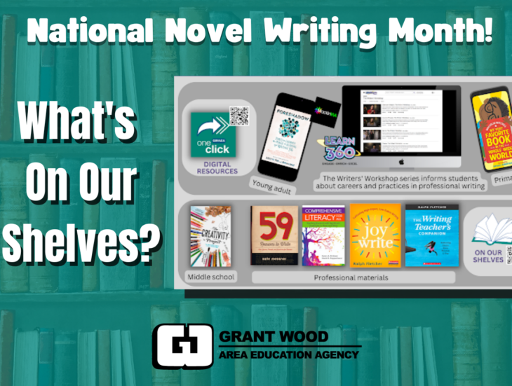 National Novel Writing Month What's On Our Shelves