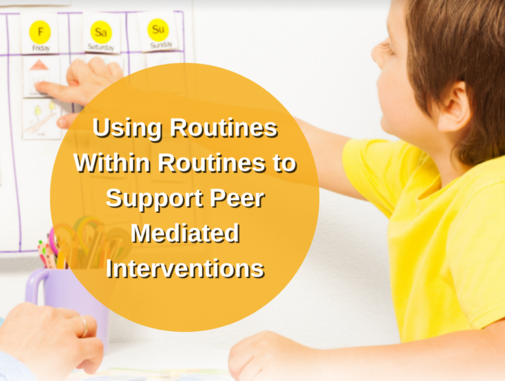 Using Routines Within Routines to Support Peer Mediated Interventions