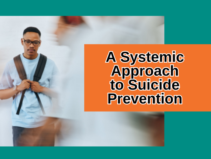A Systemic Approach to Suicide Prevention