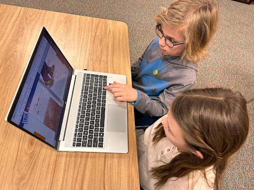 Two kids looking at laptop